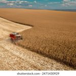 钱柜娱乐平台注册官网:畅享安全便捷的在线娱乐体验 1iraz4zm