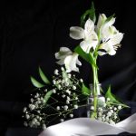 DLT开奖结果最新公布,快来看看你中奖了吗? dui1b