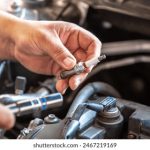 金麒麟在现代社会中的应用与影响 gsf7ftm