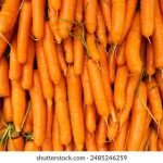 金麒麟平台:助力企业数字化转型的新兴力量 uy9vl4vrl1